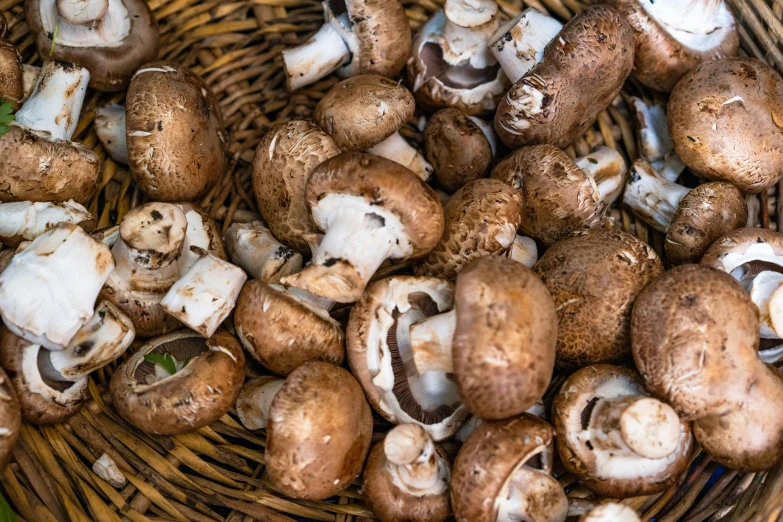 a basket full of brown and white mushrooms