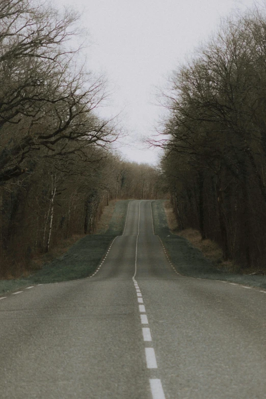 a long empty road surrounded by trees and snow