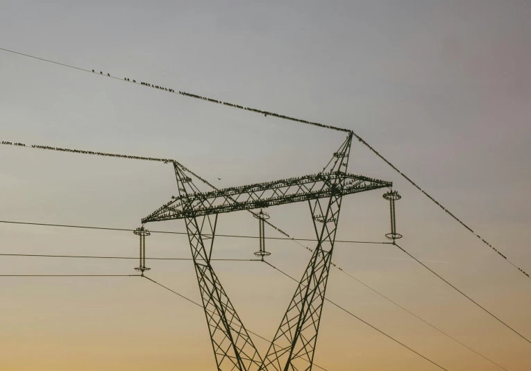 the view of several power poles in an area at dusk