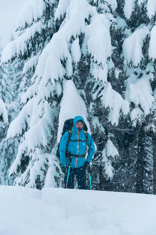 a skier standing in front of a snowy tree