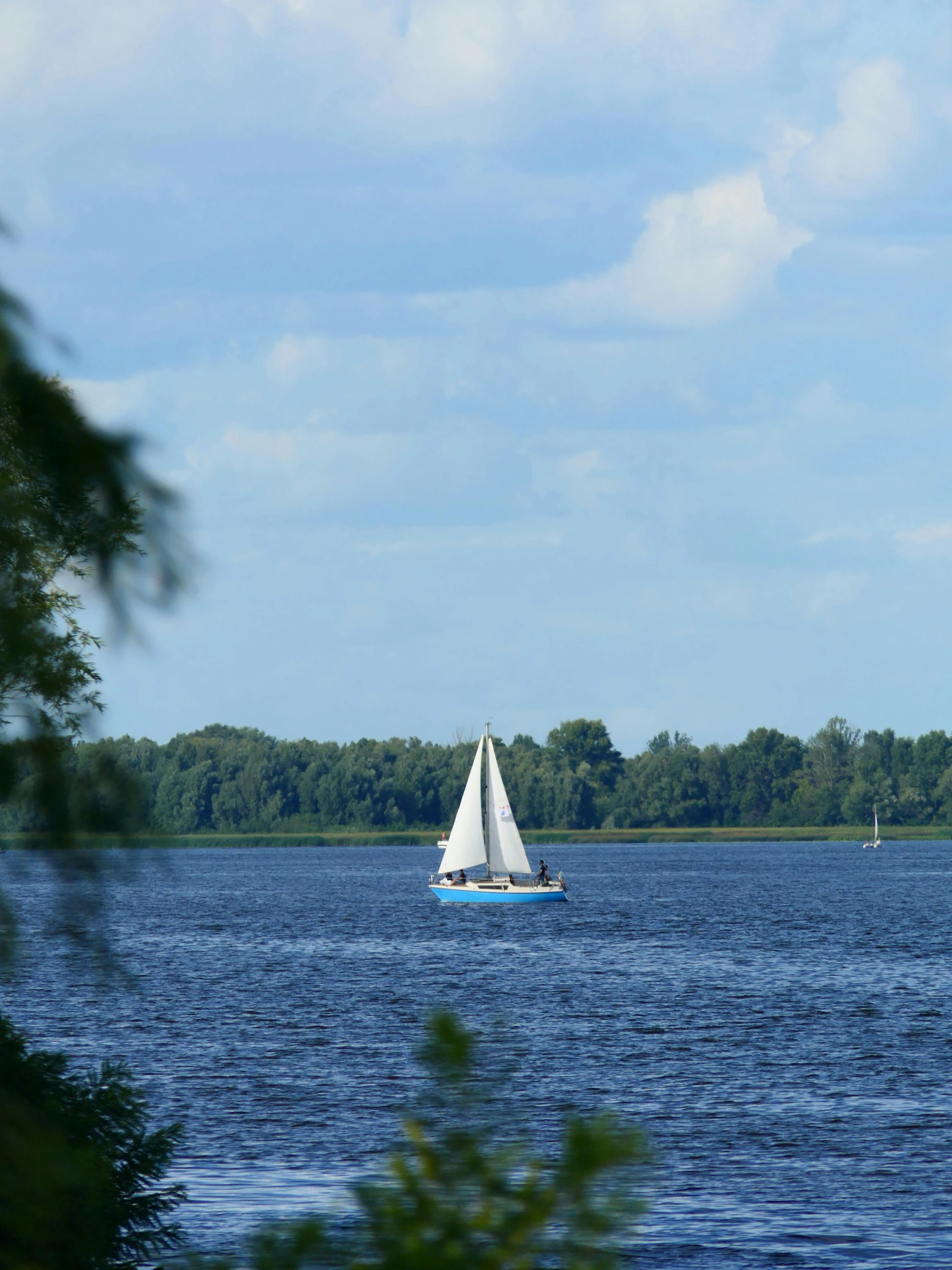 the white sailboat is sailing in the blue water