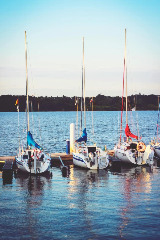 a group of sailboats at the edge of a lake