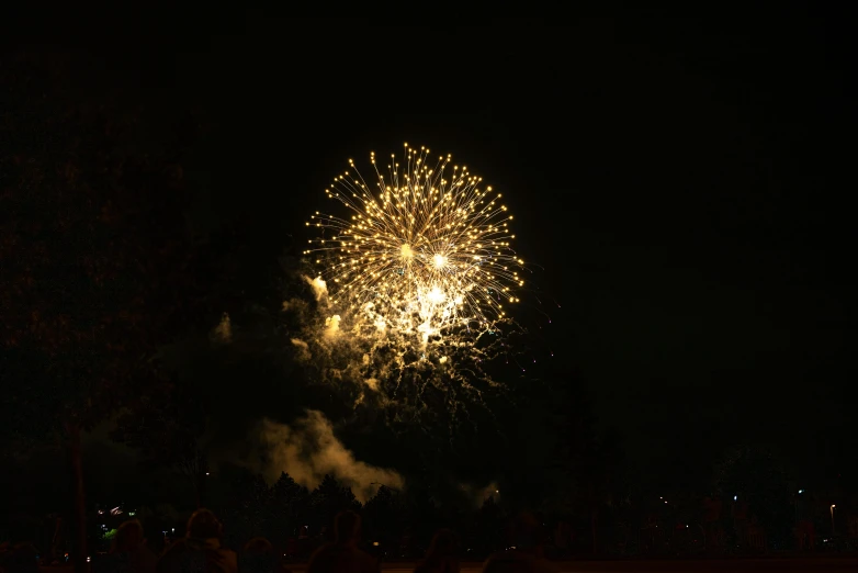 fireworks display at night with people standing around