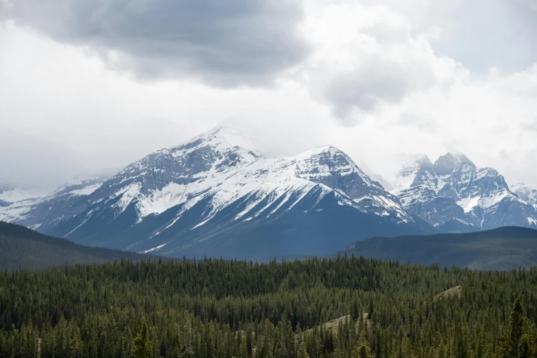 mountains covered with trees under a cloudy sky