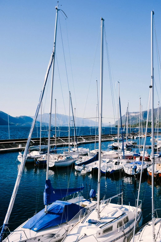 boats are docked in a marina, and some buildings