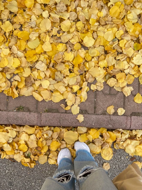 feet walking in the rain with yellow leaves on the ground