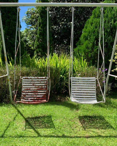 swings are positioned in the garden on the grass