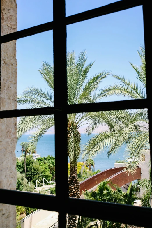 an open window with trees out at the ocean