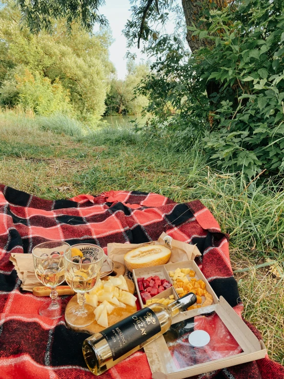 an open tray with food and wine on top of a red plaid blanket