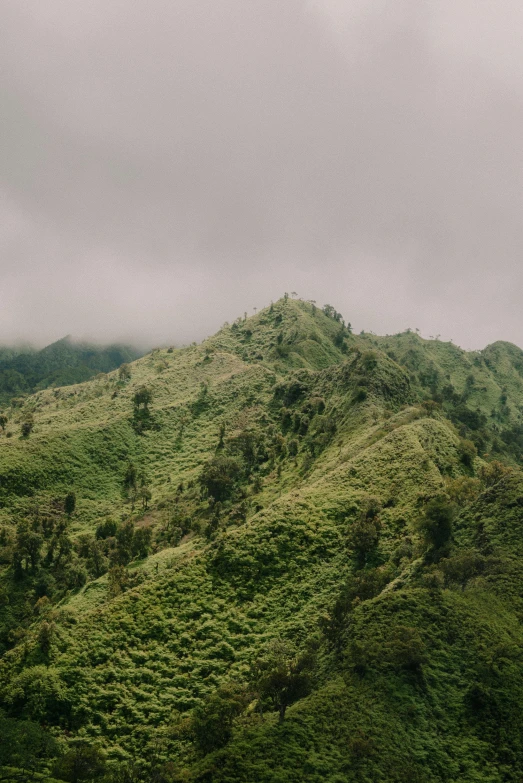 a very green mountain on a cloudy day