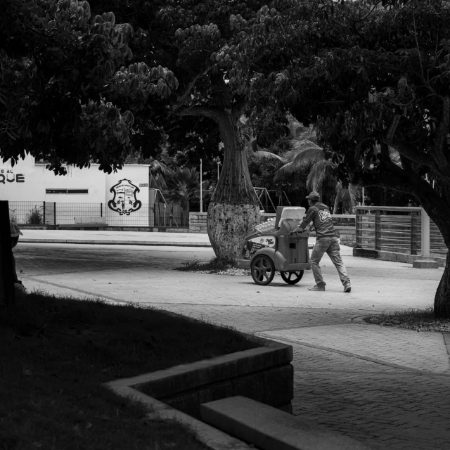 two people on a sidewalk next to trees