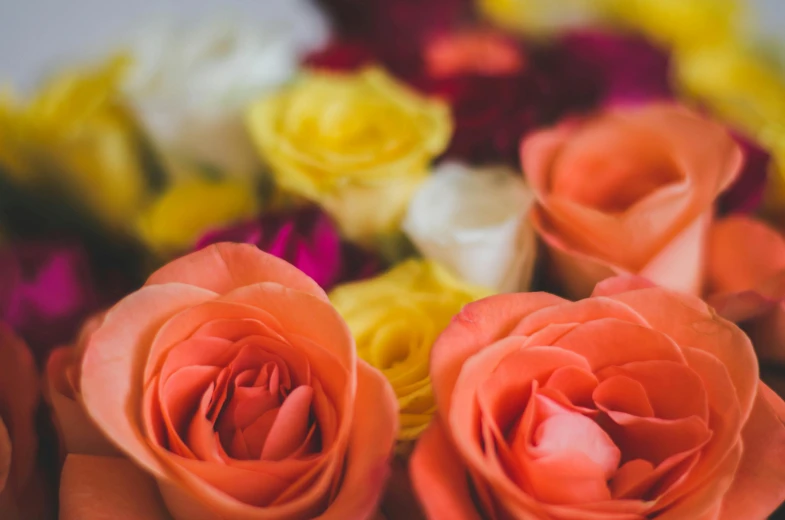 an image of a bunch of roses on a table