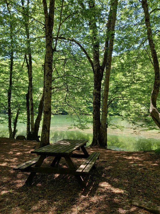 the picnic table is under trees near water