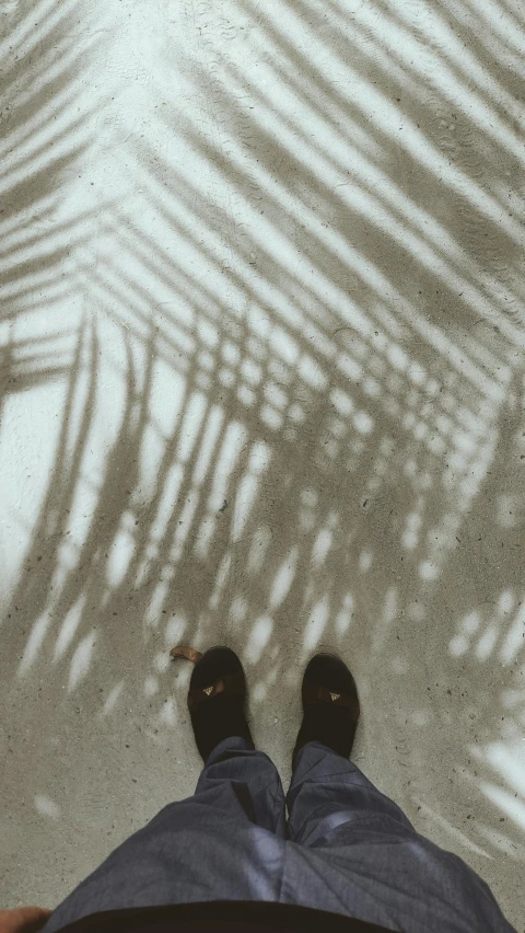 a person standing next to a palm tree