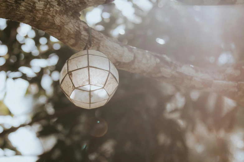 a light hanging from a tree that is lit up