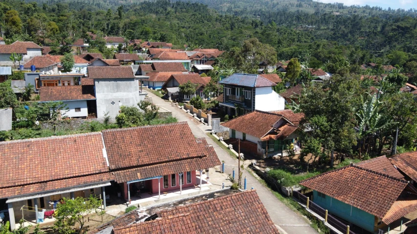 an aerial view of houses in a tropical village