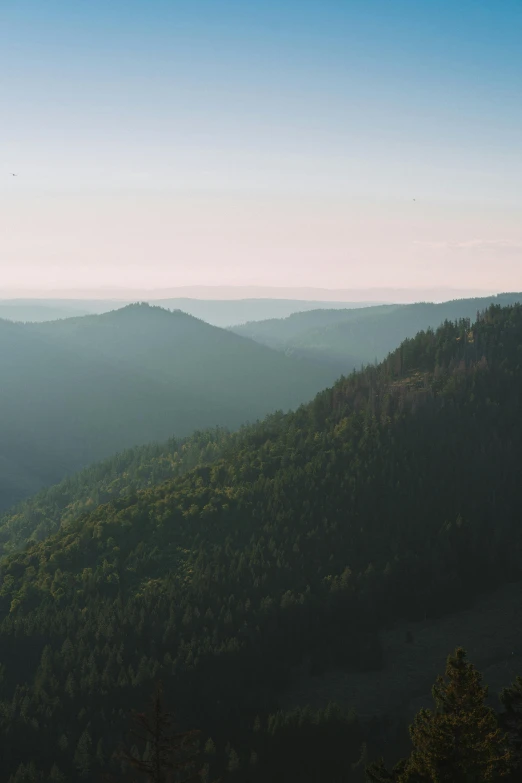 some mountains that have some trees in them