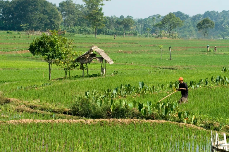 a man watering the grass with a farm and boat nearby