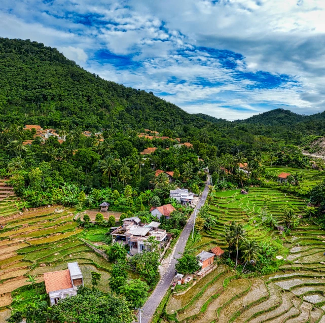 a village on the edge of rice fields with trees in the background