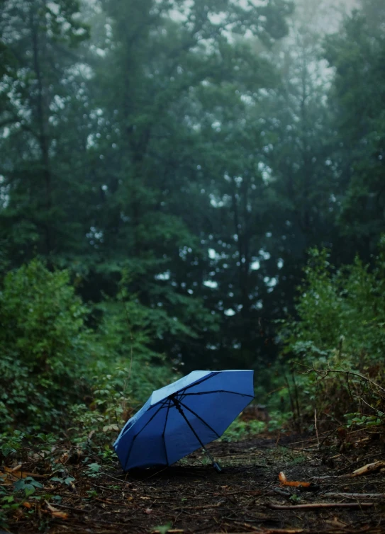 an open umbrella laying on the ground with trees behind it