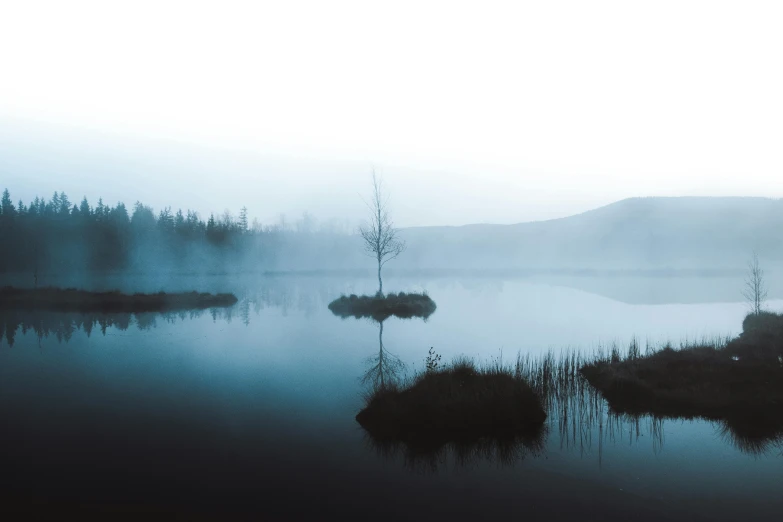 a body of water filled with fog and trees