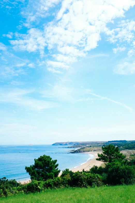 an ocean shore in the background with trees and shrubs