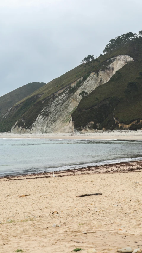 the person is riding on a surfboard on a beach