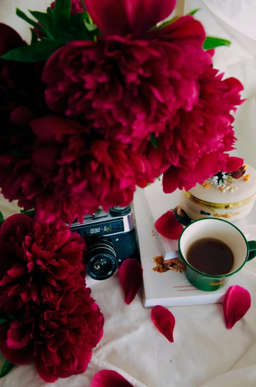 a cup of coffee and a flower on a blanket