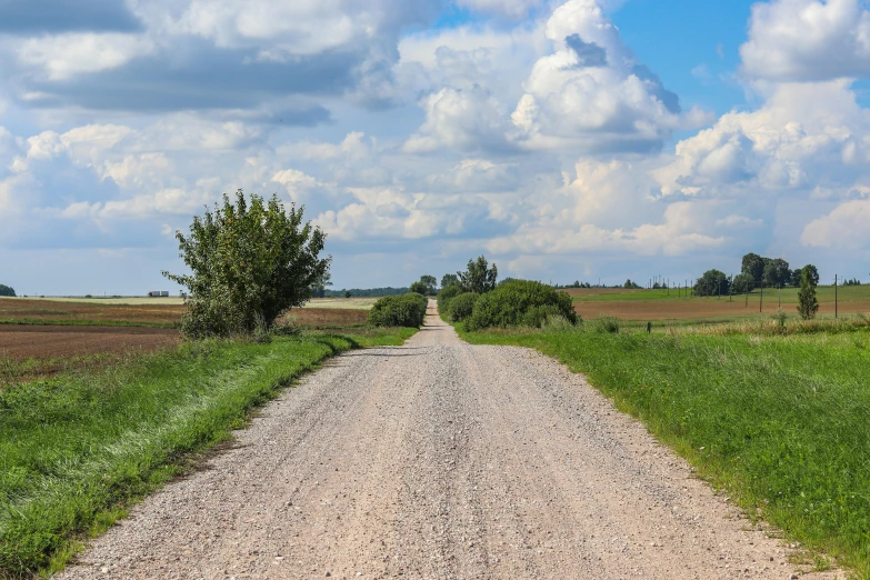 a gravel road that looks to be bordered by a field