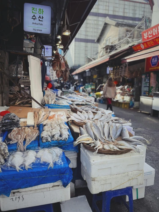 many fish are in trays outside in front of stores