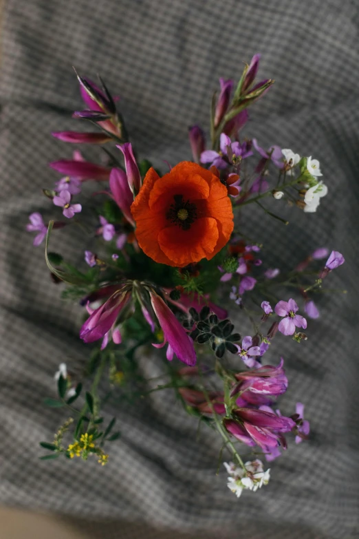 an overhead s shows some very colorful flowers