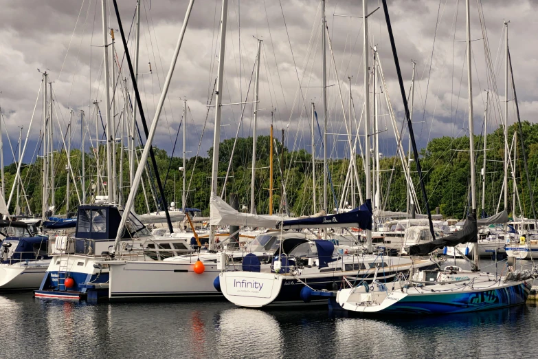 many boats are parked in the water with trees