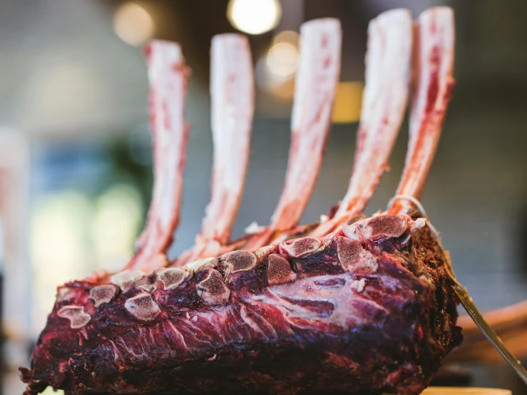 close up view of an uncut piece of lamb chopping