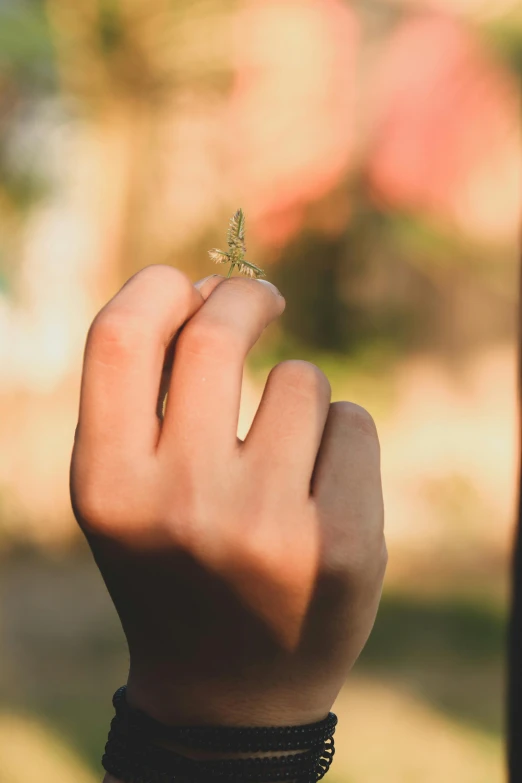 a person holding their hand on the tip of a erfly