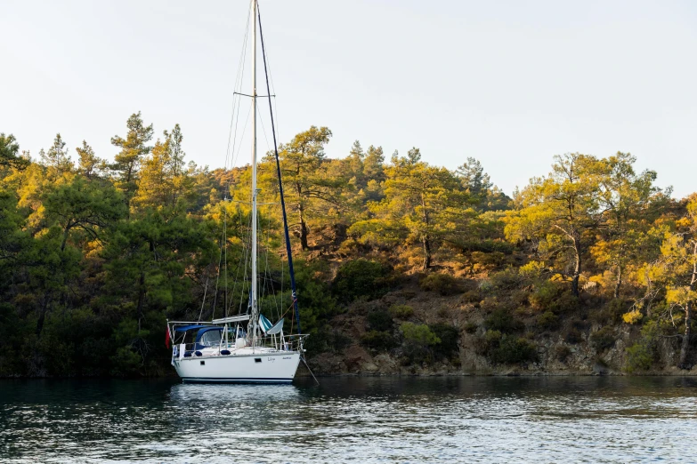 two sail boats sit on the river's side