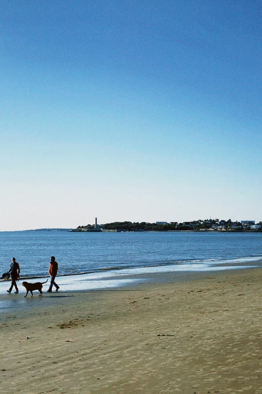 two people are walking on the beach with a dog