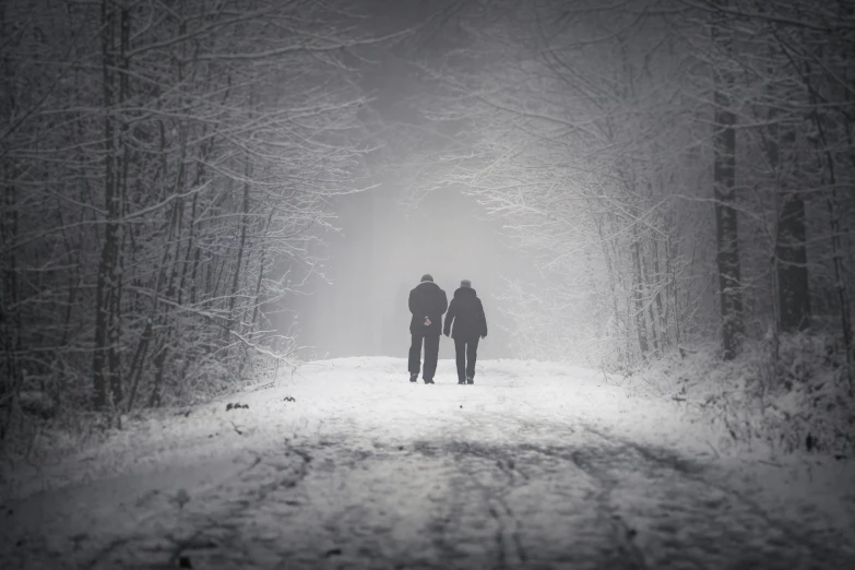 two people walk on a path in the woods in the winter