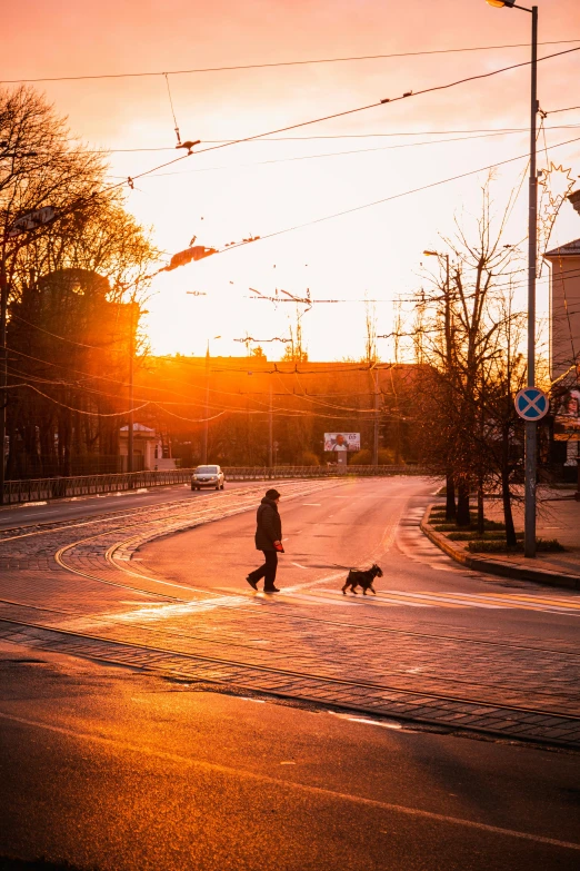 two people and a dog walking across a street at sunset