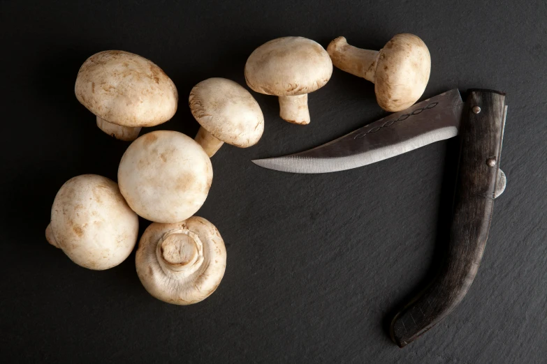 several mushrooms on a table next to a butcher knife