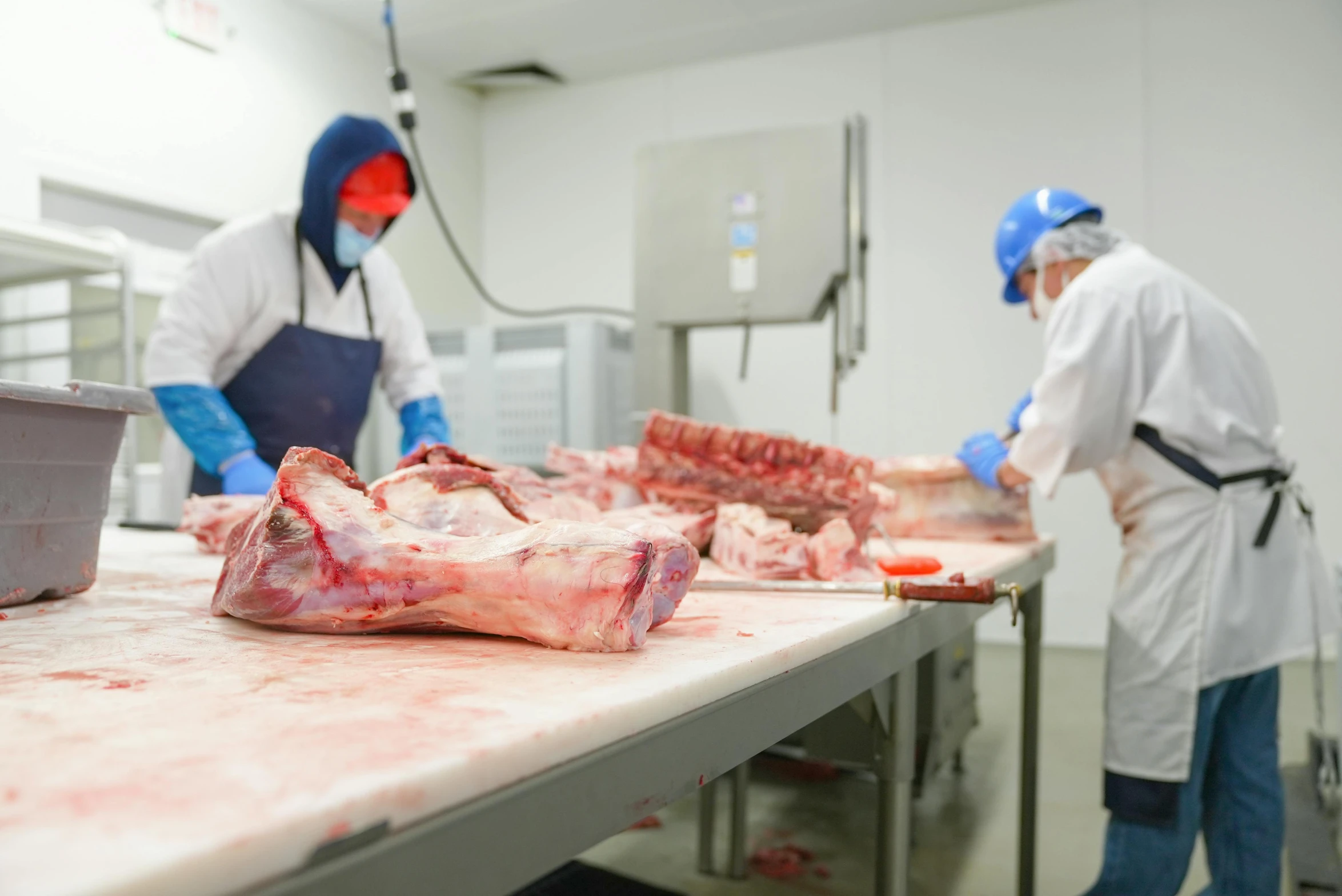 men in white lab coats preparing meat on counter top