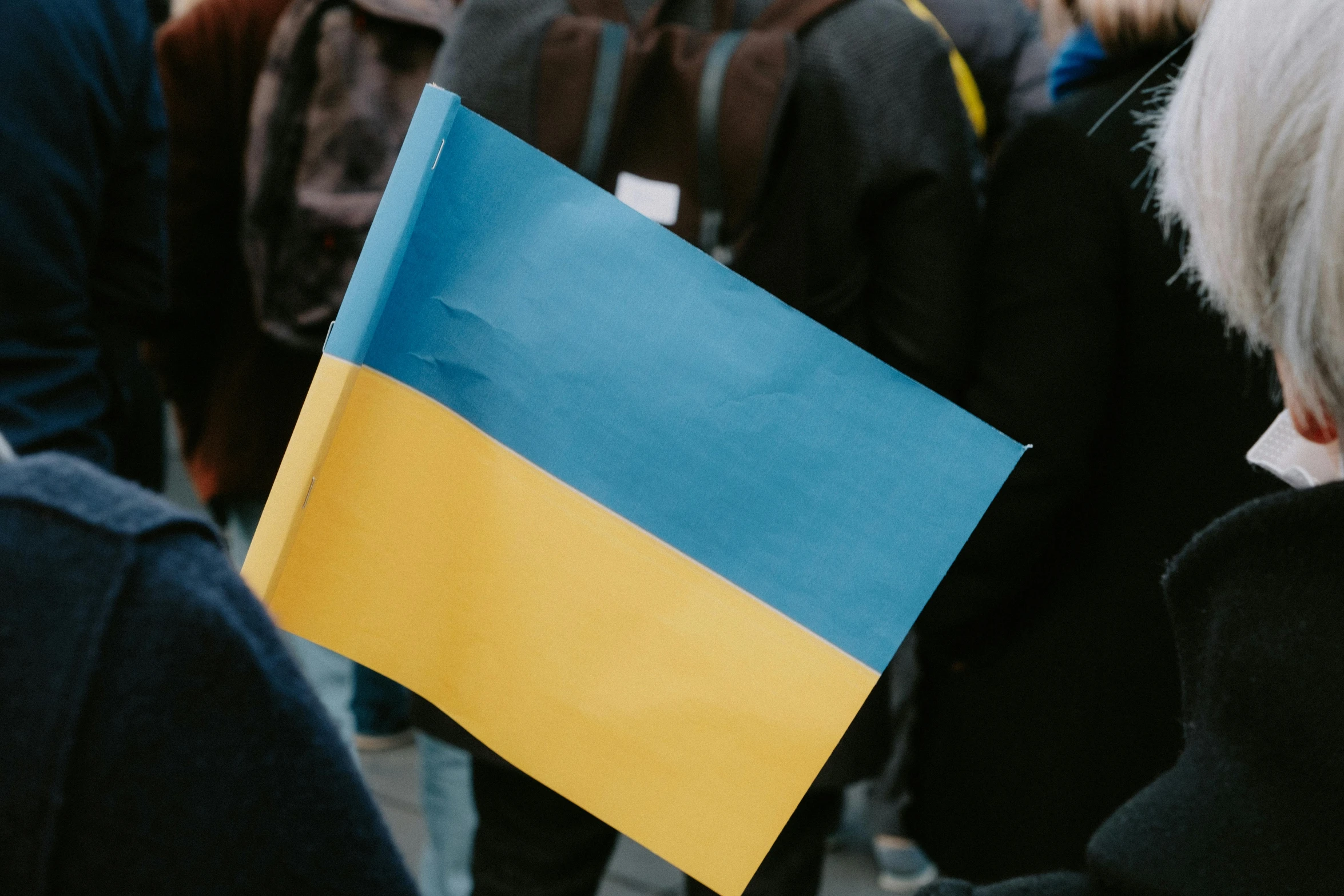 a man holding up a small flag at a protest