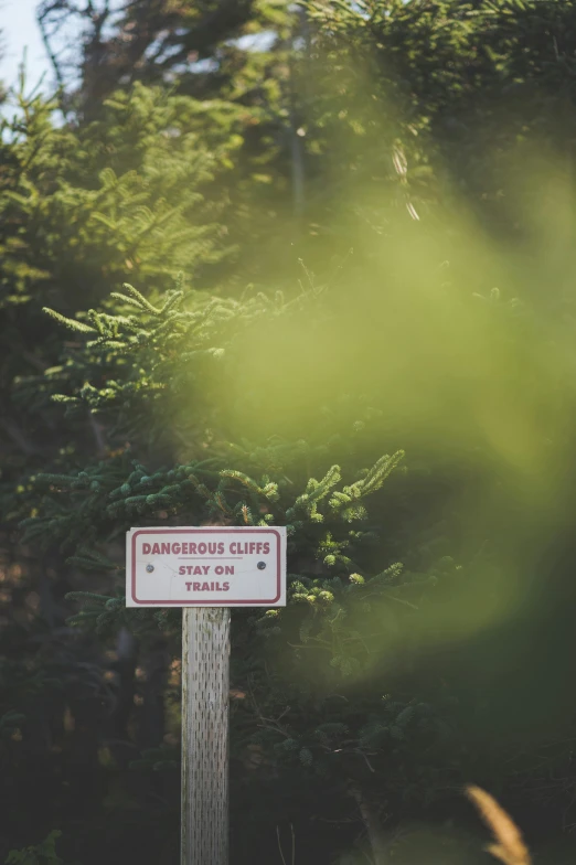 a sign sitting on the side of a road