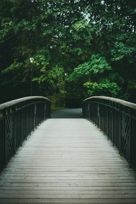 this is a boardwalk that leads into the woods