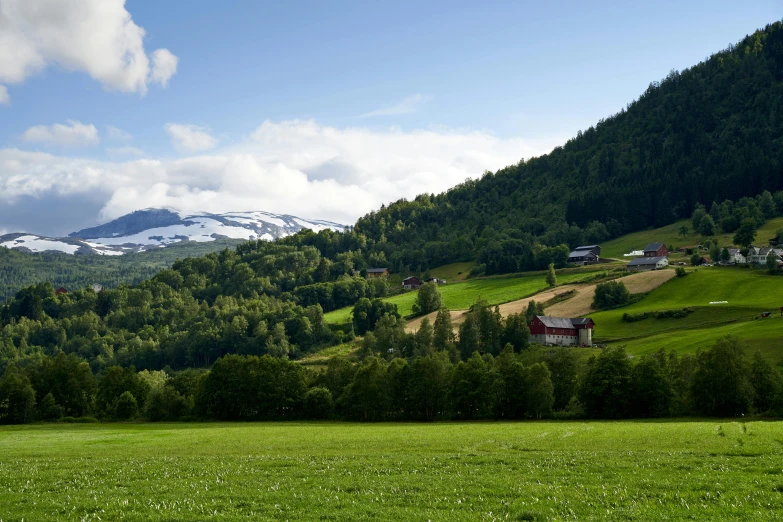 a very green mountain with snow on top