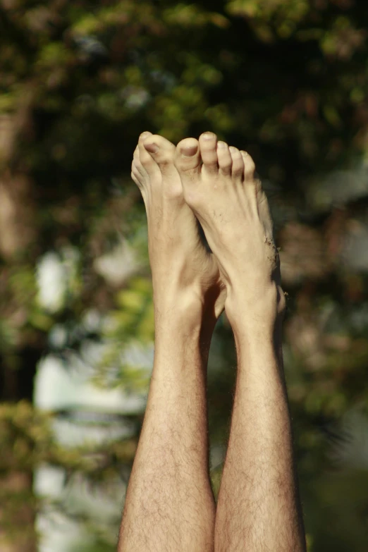 legs and toes showing with trees in the background