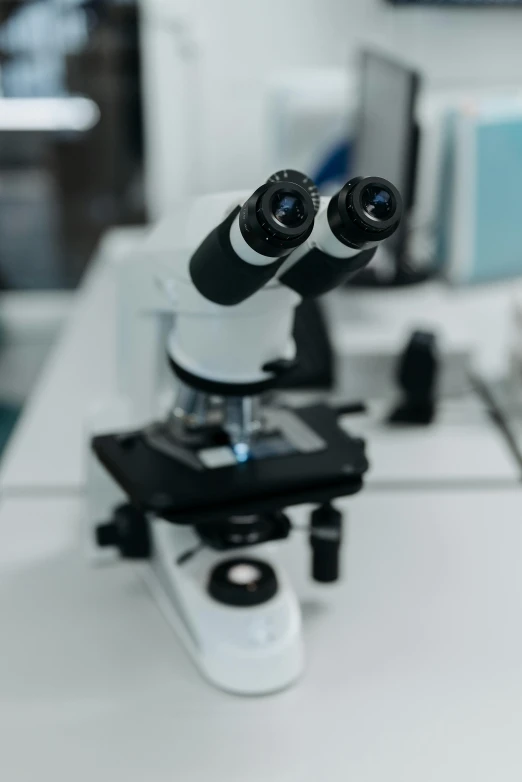 a microscope with a pair of binoculars on it's top