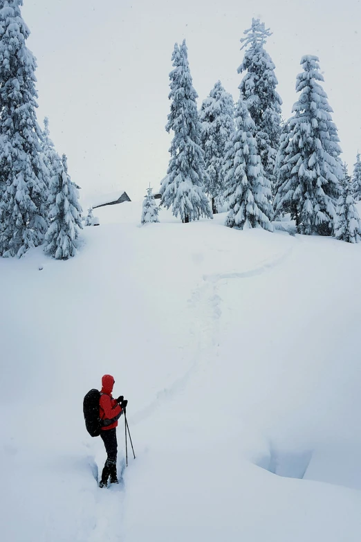 a skier is on the snowy side of a trail