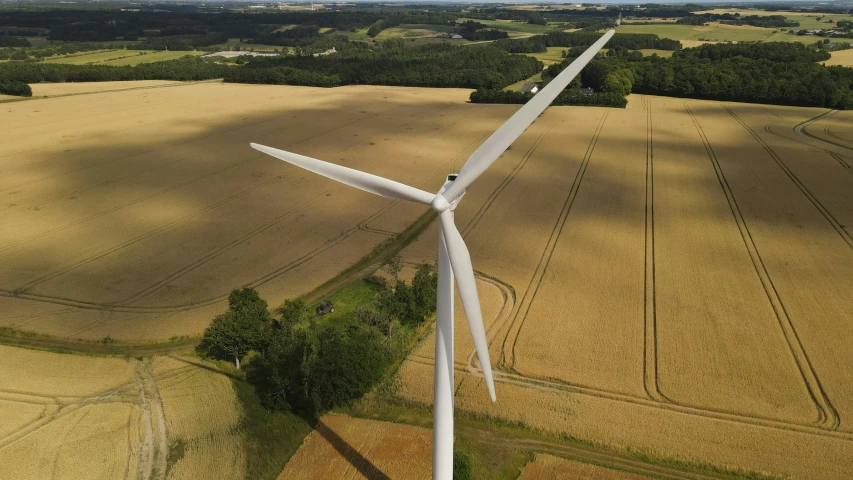 the large wind turbine is overtaken with other crops