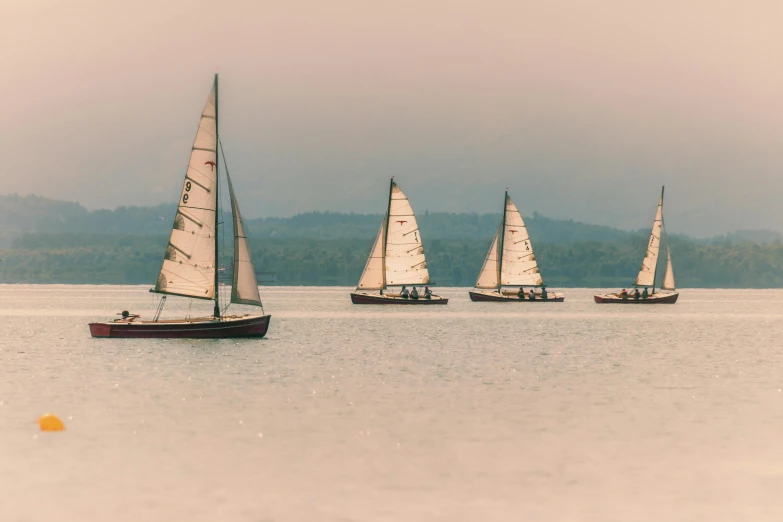 sail boats in a calm body of water