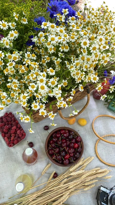 some straw, beans and flowers are arranged on a table